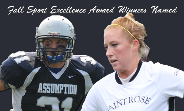 Northeast-10 Announces Fall Scholar-Athlete Sport Excellence Award Winners