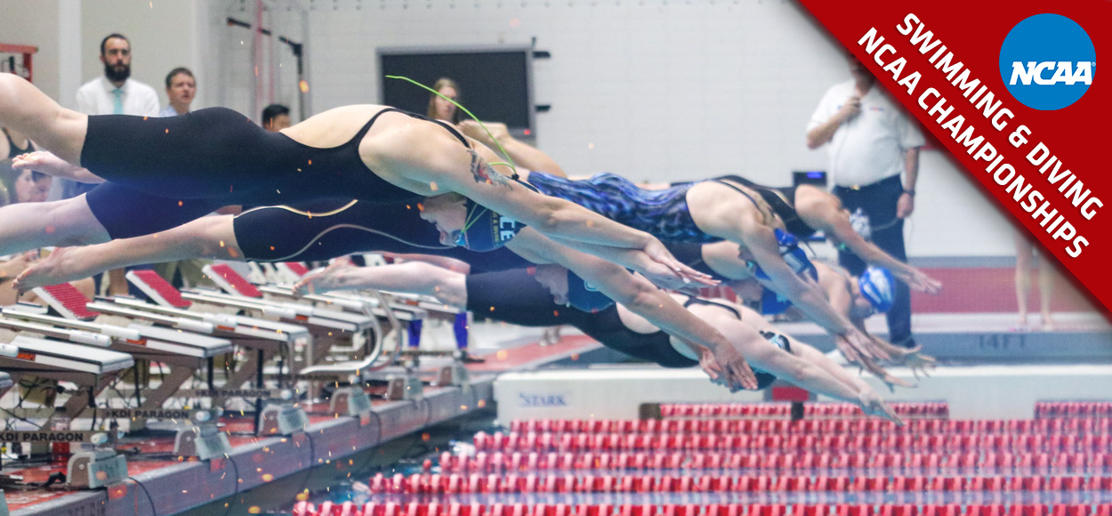 Three Swimmers & Six Divers Qualify for NCAA DII Championships