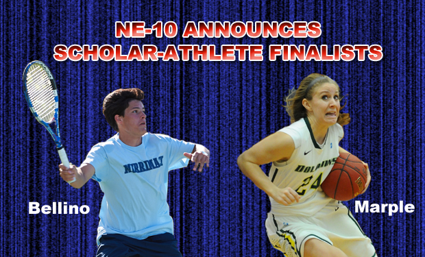 NE-10 Announces Scholar-Athlete Award Finalists