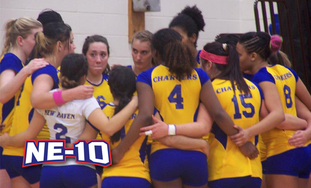 New Haven Ticketed as Regular-Season Favorite in Northeast-10 Volleyball Preseason Poll